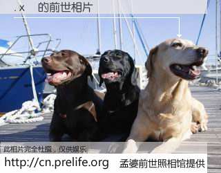 #孟婆前世照相馆# 【. x﹎ 的前世相片】我们都曾从奈何桥上走过，喝下三碗忘川之水烹煮的孟婆汤，忘却了前尘旧事。孟婆前世照相馆，保存着你前世的数码相片。. x﹎ 的前世相片，有图有真相：