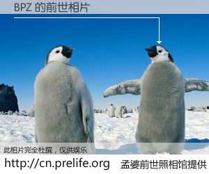 #孟婆前世照相馆# 【BPZ 的前世相片】我们都曾从奈何桥上走过，喝下三碗忘川之水烹煮的孟婆汤，忘却了前尘旧事。孟婆前世照相馆，保存着你前世的数码相片。BPZ 的前世相片，有图有真相：