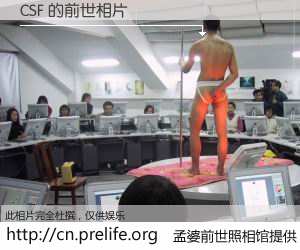 #孟婆前世照相馆# 【CSF 的前世相片】我们都曾从奈何桥上走过，喝下三碗忘川之水烹煮的孟婆汤，忘却了前尘旧事。孟婆前世照相馆，保存着你前世的数码相片。CSF 的前世相片，有图有真相：