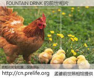 #孟婆前世照相馆# 【FOUNTAIN DRINK 的前世相片】我们都曾从奈何桥上走过，喝下三碗忘川之水烹煮的孟婆汤，忘却了前尘旧事。孟婆前世照相馆，保存着你前世的数码相片。FOUNTAIN DRINK 的前世相片，有图有真相：