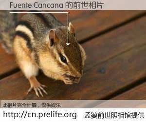 #孟婆前世照相馆# 【Fuente Cancana 的前世相片】我们都曾从奈何桥上走过，喝下三碗忘川之水烹煮的孟婆汤，忘却了前尘旧事。孟婆前世照相馆，保存着你前世的数码相片。Fuente Cancana 的前世相片，有图有真相：