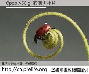 #孟婆前世照相馆# 【Oppo A58 gi 的前世相片】我们都曾从奈何桥上走过，喝下三碗忘川之水烹煮的孟婆汤，忘却了前尘旧事。孟婆前世照相馆，保存着你前世的数码相片。Oppo A58 gi 的前世相片，有图有真相：