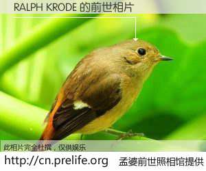 #孟婆前世照相馆# 【RALPH KRODE 的前世相片】我们都曾从奈何桥上走过，喝下三碗忘川之水烹煮的孟婆汤，忘却了前尘旧事。孟婆前世照相馆，保存着你前世的数码相片。RALPH KRODE 的前世相片，有图有真相：