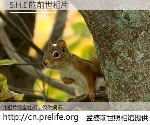 #孟婆前世照相馆# 【S.H.E 的前世相片】我们都曾从奈何桥上走过，喝下三碗忘川之水烹煮的孟婆汤，忘却了前尘旧事。孟婆前世照相馆，保存着你前世的数码相片。S.H.E 的前世相片，有图有真相：