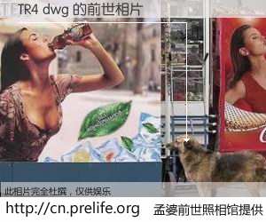 #孟婆前世照相馆# 【TR4 dwg 的前世相片】我们都曾从奈何桥上走过，喝下三碗忘川之水烹煮的孟婆汤，忘却了前尘旧事。孟婆前世照相馆，保存着你前世的数码相片。TR4 dwg 的前世相片，有图有真相：