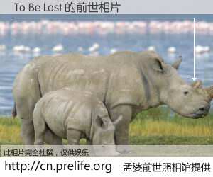 #孟婆前世照相馆# 【To Be Lost 的前世相片】我们都曾从奈何桥上走过，喝下三碗忘川之水烹煮的孟婆汤，忘却了前尘旧事。孟婆前世照相馆，保存着你前世的数码相片。To Be Lost 的前世相片，有图有真相：