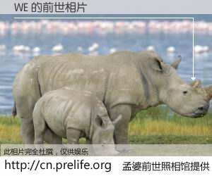 #孟婆前世照相馆# 【WE 的前世相片】我们都曾从奈何桥上走过，喝下三碗忘川之水烹煮的孟婆汤，忘却了前尘旧事。孟婆前世照相馆，保存着你前世的数码相片。WE 的前世相片，有图有真相：