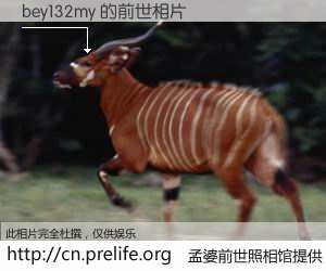 #孟婆前世照相馆# 【bey132my 的前世相片】我们都曾从奈何桥上走过，喝下三碗忘川之水烹煮的孟婆汤，忘却了前尘旧事。孟婆前世照相馆，保存着你前世的数码相片。bey132my 的前世相片，有图有真相：