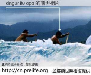 #孟婆前世照相馆# 【cingur itu apa 的前世相片】我们都曾从奈何桥上走过，喝下三碗忘川之水烹煮的孟婆汤，忘却了前尘旧事。孟婆前世照相馆，保存着你前世的数码相片。cingur itu apa 的前世相片，有图有真相：