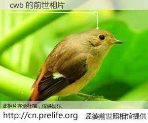 #孟婆前世照相馆# 【cwb 的前世相片】我们都曾从奈何桥上走过，喝下三碗忘川之水烹煮的孟婆汤，忘却了前尘旧事。孟婆前世照相馆，保存着你前世的数码相片。cwb 的前世相片，有图有真相：