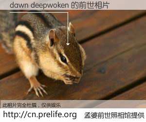 #孟婆前世照相馆# 【dawn deepwoken 的前世相片】我们都曾从奈何桥上走过，喝下三碗忘川之水烹煮的孟婆汤，忘却了前尘旧事。孟婆前世照相馆，保存着你前世的数码相片。dawn deepwoken 的前世相片，有图有真相：