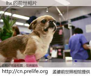 #孟婆前世照相馆# 【lhx 的前世相片】我们都曾从奈何桥上走过，喝下三碗忘川之水烹煮的孟婆汤，忘却了前尘旧事。孟婆前世照相馆，保存着你前世的数码相片。lhx 的前世相片，有图有真相：