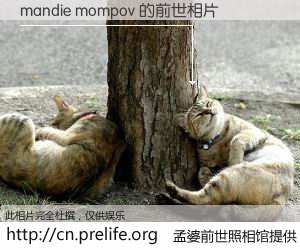 #孟婆前世照相馆# 【mandie mompov 的前世相片】我们都曾从奈何桥上走过，喝下三碗忘川之水烹煮的孟婆汤，忘却了前尘旧事。孟婆前世照相馆，保存着你前世的数码相片。mandie mompov 的前世相片，有图有真相：