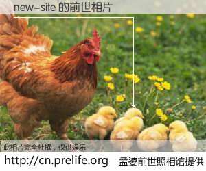 #孟婆前世照相馆# 【new-site 的前世相片】我们都曾从奈何桥上走过，喝下三碗忘川之水烹煮的孟婆汤，忘却了前尘旧事。孟婆前世照相馆，保存着你前世的数码相片。new-site 的前世相片，有图有真相：