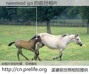 #孟婆前世照相馆# 【newstead iga 的前世相片】我们都曾从奈何桥上走过，喝下三碗忘川之水烹煮的孟婆汤，忘却了前尘旧事。孟婆前世照相馆，保存着你前世的数码相片。newstead iga 的前世相片，有图有真相：