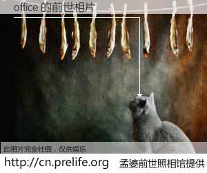 #孟婆前世照相馆# 【office 的前世相片】我们都曾从奈何桥上走过，喝下三碗忘川之水烹煮的孟婆汤，忘却了前尘旧事。孟婆前世照相馆，保存着你前世的数码相片。office 的前世相片，有图有真相：