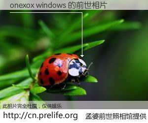 #孟婆前世照相馆# 【onexox windows 的前世相片】我们都曾从奈何桥上走过，喝下三碗忘川之水烹煮的孟婆汤，忘却了前尘旧事。孟婆前世照相馆，保存着你前世的数码相片。onexox windows 的前世相片，有图有真相：