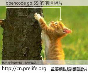 #孟婆前世照相馆# 【opencode go 5$ 的前世相片】我们都曾从奈何桥上走过，喝下三碗忘川之水烹煮的孟婆汤，忘却了前尘旧事。孟婆前世照相馆，保存着你前世的数码相片。opencode go 5$ 的前世相片，有图有真相：