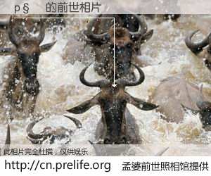 #孟婆前世照相馆# 【p�� 的前世相片】我们都曾从奈何桥上走过，喝下三碗忘川之水烹煮的孟婆汤，忘却了前尘旧事。孟婆前世照相馆，保存着你前世的数码相片。p�� 的前世相片，有图有真相：