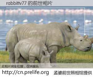 #孟婆前世照相馆# 【rabbittv77 的前世相片】我们都曾从奈何桥上走过，喝下三碗忘川之水烹煮的孟婆汤，忘却了前尘旧事。孟婆前世照相馆，保存着你前世的数码相片。rabbittv77 的前世相片，有图有真相：