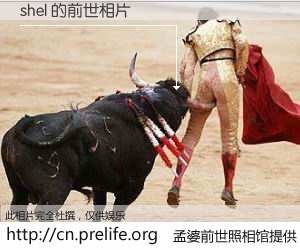 #孟婆前世照相馆# 【shel 的前世相片】我们都曾从奈何桥上走过，喝下三碗忘川之水烹煮的孟婆汤，忘却了前尘旧事。孟婆前世照相馆，保存着你前世的数码相片。shel 的前世相片，有图有真相：