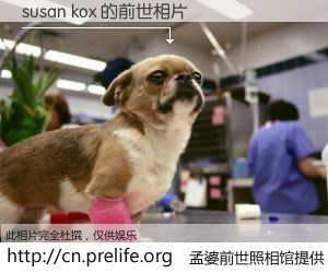 #孟婆前世照相馆# 【susan kox 的前世相片】我们都曾从奈何桥上走过，喝下三碗忘川之水烹煮的孟婆汤，忘却了前尘旧事。孟婆前世照相馆，保存着你前世的数码相片。susan kox 的前世相片，有图有真相：