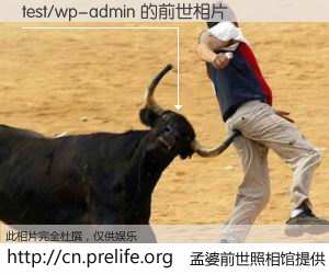 #孟婆前世照相馆# 【test/wp-admin 的前世相片】我们都曾从奈何桥上走过，喝下三碗忘川之水烹煮的孟婆汤，忘却了前尘旧事。孟婆前世照相馆，保存着你前世的数码相片。test/wp-admin 的前世相片，有图有真相：