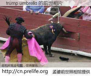 #孟婆前世照相馆# 【trump umbrella 的前世相片】我们都曾从奈何桥上走过，喝下三碗忘川之水烹煮的孟婆汤，忘却了前尘旧事。孟婆前世照相馆，保存着你前世的数码相片。trump umbrella 的前世相片，有图有真相：