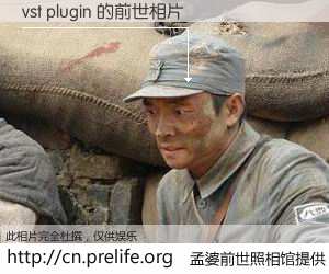 #孟婆前世照相馆# 【vst plugin 的前世相片】我们都曾从奈何桥上走过，喝下三碗忘川之水烹煮的孟婆汤，忘却了前尘旧事。孟婆前世照相馆，保存着你前世的数码相片。vst plugin 的前世相片，有图有真相：