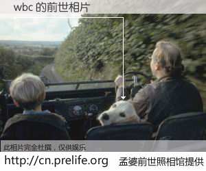 #孟婆前世照相馆# 【wbc 的前世相片】我们都曾从奈何桥上走过，喝下三碗忘川之水烹煮的孟婆汤，忘却了前尘旧事。孟婆前世照相馆，保存着你前世的数码相片。wbc 的前世相片，有图有真相：