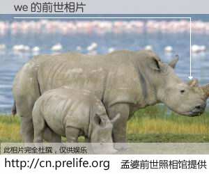 #孟婆前世照相馆# 【we 的前世相片】我们都曾从奈何桥上走过，喝下三碗忘川之水烹煮的孟婆汤，忘却了前尘旧事。孟婆前世照相馆，保存着你前世的数码相片。we 的前世相片，有图有真相：