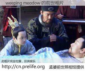 #孟婆前世照相馆# 【weeping meadow 的前世相片】我们都曾从奈何桥上走过，喝下三碗忘川之水烹煮的孟婆汤，忘却了前尘旧事。孟婆前世照相馆，保存着你前世的数码相片。weeping meadow 的前世相片，有图有真相：