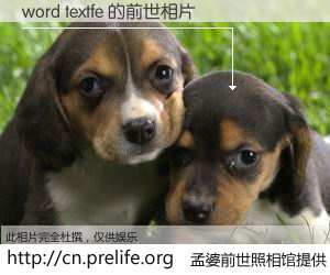 #孟婆前世照相馆# 【word textfe 的前世相片】我们都曾从奈何桥上走过，喝下三碗忘川之水烹煮的孟婆汤，忘却了前尘旧事。孟婆前世照相馆，保存着你前世的数码相片。word textfe 的前世相片，有图有真相：