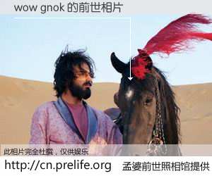 #孟婆前世照相馆# 【wow gnok 的前世相片】我们都曾从奈何桥上走过，喝下三碗忘川之水烹煮的孟婆汤，忘却了前尘旧事。孟婆前世照相馆，保存着你前世的数码相片。wow gnok 的前世相片，有图有真相：