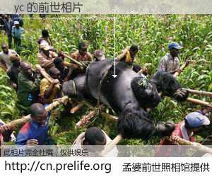 #孟婆前世照相馆# 【yc 的前世相片】我们都曾从奈何桥上走过，喝下三碗忘川之水烹煮的孟婆汤，忘却了前尘旧事。孟婆前世照相馆，保存着你前世的数码相片。yc 的前世相片，有图有真相：