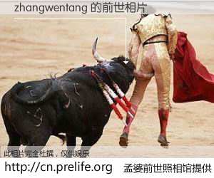 #孟婆前世照相馆# 【zhangwentang 的前世相片】我们都曾从奈何桥上走过，喝下三碗忘川之水烹煮的孟婆汤，忘却了前尘旧事。孟婆前世照相馆，保存着你前世的数码相片。zhangwentang 的前世相片，有图有真相：