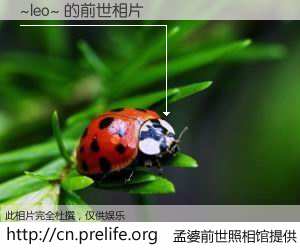 #孟婆前世照相馆# 【~leo~ 的前世相片】我们都曾从奈何桥上走过，喝下三碗忘川之水烹煮的孟婆汤，忘却了前尘旧事。孟婆前世照相馆，保存着你前世的数码相片。~leo~ 的前世相片，有图有真相：