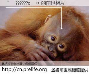 #孟婆前世照相馆# 【��??????o�� 的前世相片】我们都曾从奈何桥上走过，喝下三碗忘川之水烹煮的孟婆汤，忘却了前尘旧事。孟婆前世照相馆，保存着你前世的数码相片。��??????o�� 的前世相片，有图有真相：
