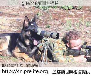 #孟婆前世照相馆# 【����1e?? 的前世相片】我们都曾从奈何桥上走过，喝下三碗忘川之水烹煮的孟婆汤，忘却了前尘旧事。孟婆前世照相馆，保存着你前世的数码相片。����1e?? 的前世相片，有图有真相：