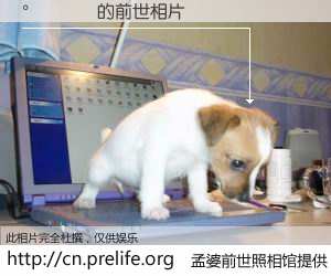 #孟婆前世照相馆# 【ױɭ 的前世相片】我们都曾从奈何桥上走过，喝下三碗忘川之水烹煮的孟婆汤，忘却了前尘旧事。孟婆前世照相馆，保存着你前世的数码相片。ױɭ 的前世相片，有图有真相：