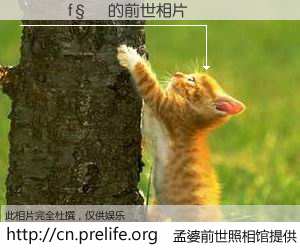 #孟婆前世照相馆# 【���f�� 的前世相片】我们都曾从奈何桥上走过，喝下三碗忘川之水烹煮的孟婆汤，忘却了前尘旧事。孟婆前世照相馆，保存着你前世的数码相片。���f�� 的前世相片，有图有真相：