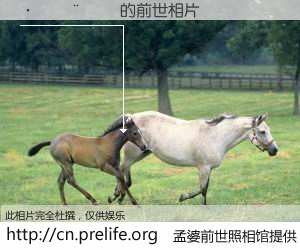 #孟婆前世照相馆# 【������ 的前世相片】我们都曾从奈何桥上走过，喝下三碗忘川之水烹煮的孟婆汤，忘却了前尘旧事。孟婆前世照相馆，保存着你前世的数码相片。������ 的前世相片，有图有真相：