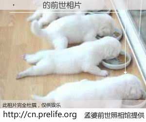 #孟婆前世照相馆# 【���� 的前世相片】我们都曾从奈何桥上走过，喝下三碗忘川之水烹煮的孟婆汤，忘却了前尘旧事。孟婆前世照相馆，保存着你前世的数码相片。���� 的前世相片，有图有真相：