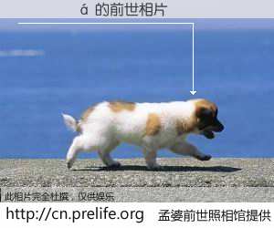 #孟婆前世照相馆# 【�ʴ��� 的前世相片】我们都曾从奈何桥上走过，喝下三碗忘川之水烹煮的孟婆汤，忘却了前尘旧事。孟婆前世照相馆，保存着你前世的数码相片。�ʴ��� 的前世相片，有图有真相：