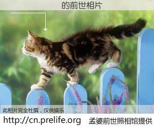 #孟婆前世照相馆# 【������ 的前世相片】我们都曾从奈何桥上走过，喝下三碗忘川之水烹煮的孟婆汤，忘却了前尘旧事。孟婆前世照相馆，保存着你前世的数码相片。������ 的前世相片，有图有真相：