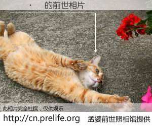 #孟婆前世照相馆# 【���� 的前世相片】我们都曾从奈何桥上走过，喝下三碗忘川之水烹煮的孟婆汤，忘却了前尘旧事。孟婆前世照相馆，保存着你前世的数码相片。���� 的前世相片，有图有真相：