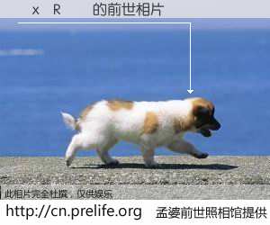 #孟婆前世照相馆# 【�x�R�� 的前世相片】我们都曾从奈何桥上走过，喝下三碗忘川之水烹煮的孟婆汤，忘却了前尘旧事。孟婆前世照相馆，保存着你前世的数码相片。�x�R�� 的前世相片，有图有真相：