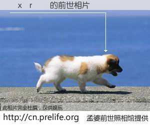 #孟婆前世照相馆# 【�x�r�� 的前世相片】我们都曾从奈何桥上走过，喝下三碗忘川之水烹煮的孟婆汤，忘却了前尘旧事。孟婆前世照相馆，保存着你前世的数码相片。�x�r�� 的前世相片，有图有真相：