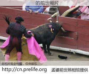 #孟婆前世照相馆# 【������ 的前世相片】我们都曾从奈何桥上走过，喝下三碗忘川之水烹煮的孟婆汤，忘却了前尘旧事。孟婆前世照相馆，保存着你前世的数码相片。������ 的前世相片，有图有真相：