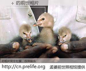 #孟婆前世照相馆# 【Ƽ÷ 的前世相片】我们都曾从奈何桥上走过，喝下三碗忘川之水烹煮的孟婆汤，忘却了前尘旧事。孟婆前世照相馆，保存着你前世的数码相片。Ƽ÷ 的前世相片，有图有真相：